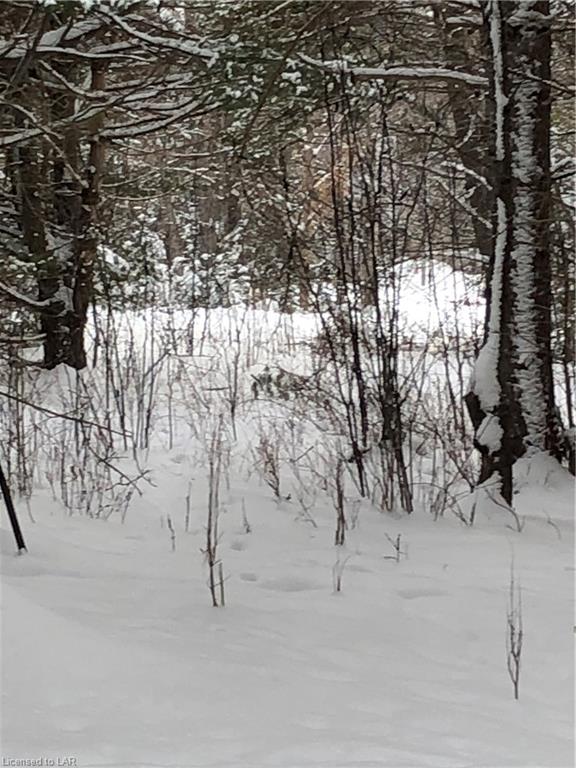 9996 HIGHWAY 118, Carnarvon, Ontario, Canada