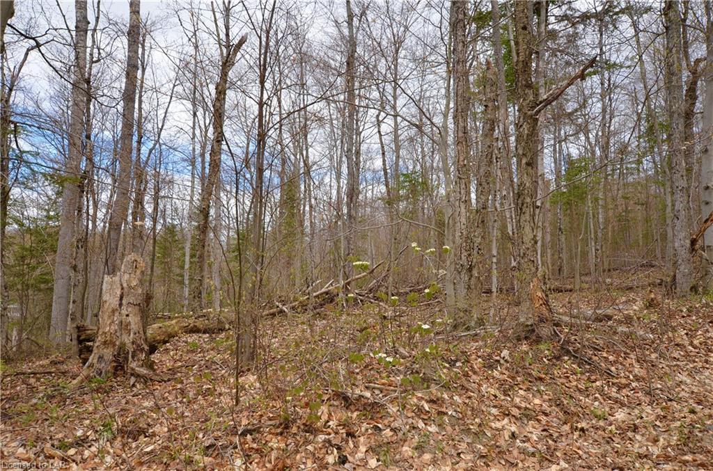 1022 ARGILLITE Road, Haliburton, Ontario, Canada