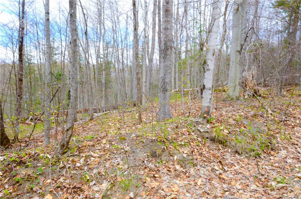 1022 ARGILLITE Road, Haliburton, Ontario, Canada