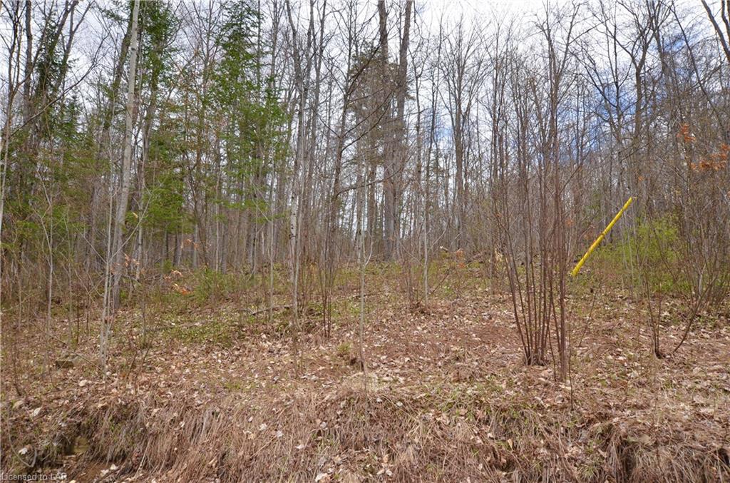1022 ARGILLITE Road, Haliburton, Ontario, Canada