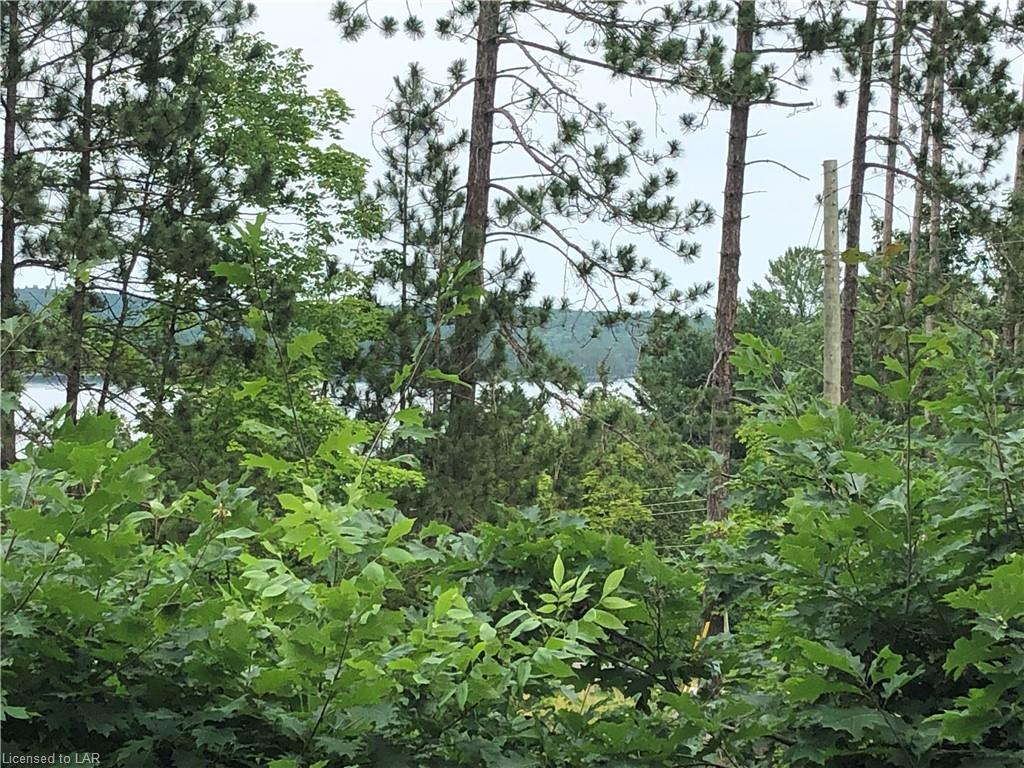 17583 HWY #35 Highway, Algonquin Highlands, Ontario, Canada