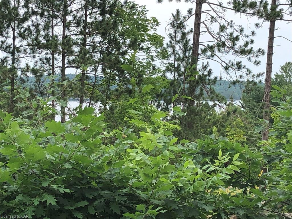 17583 HWY #35 Highway, Algonquin Highlands, Ontario, Canada