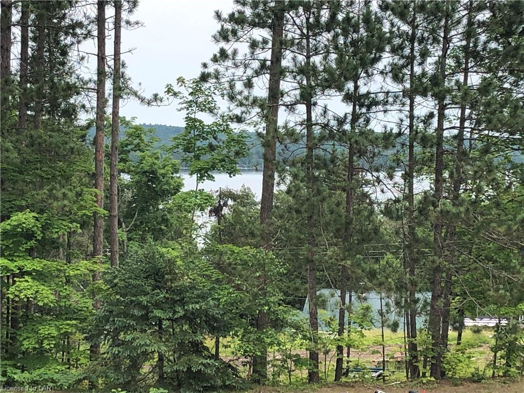17583 HWY #35 Highway, Algonquin Highlands, Ontario, Canada