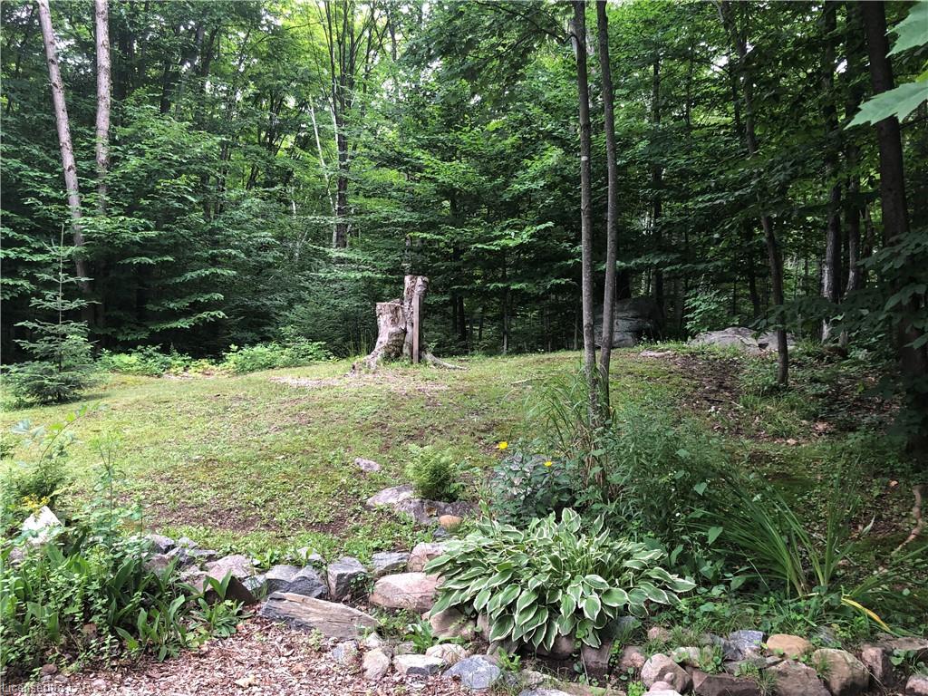 17583 HWY #35 Highway, Algonquin Highlands, Ontario, Canada