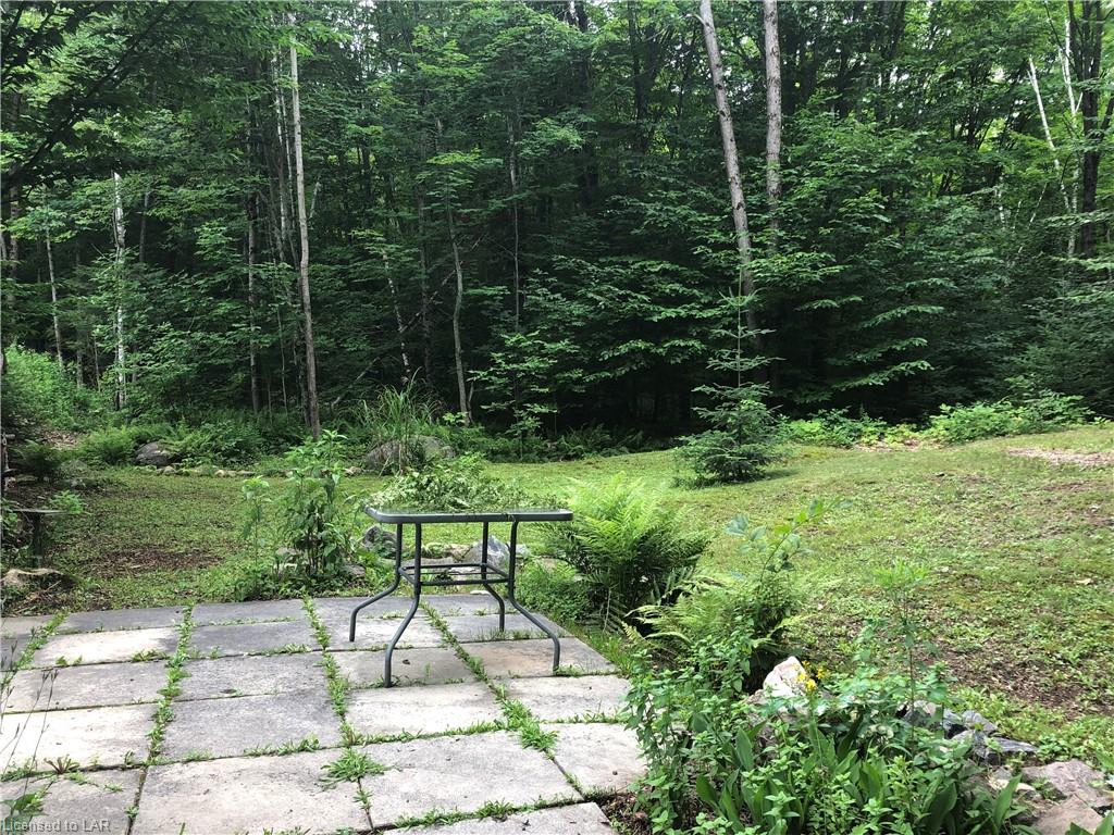 17583 HWY #35 Highway, Algonquin Highlands, Ontario, Canada