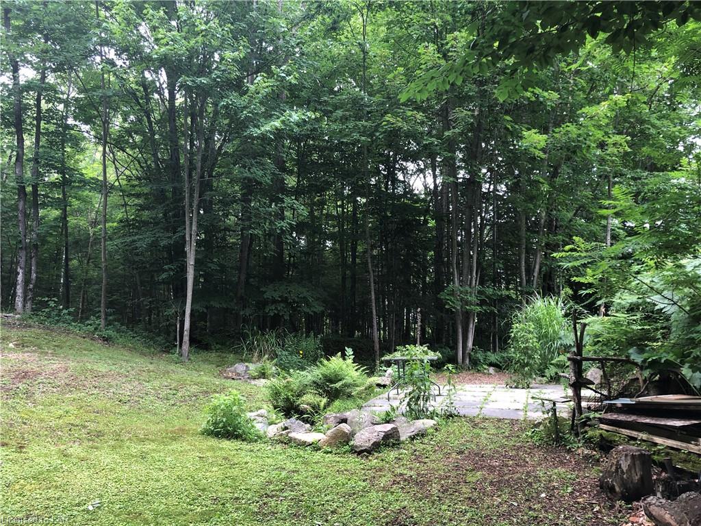 17583 HWY #35 Highway, Algonquin Highlands, Ontario, Canada