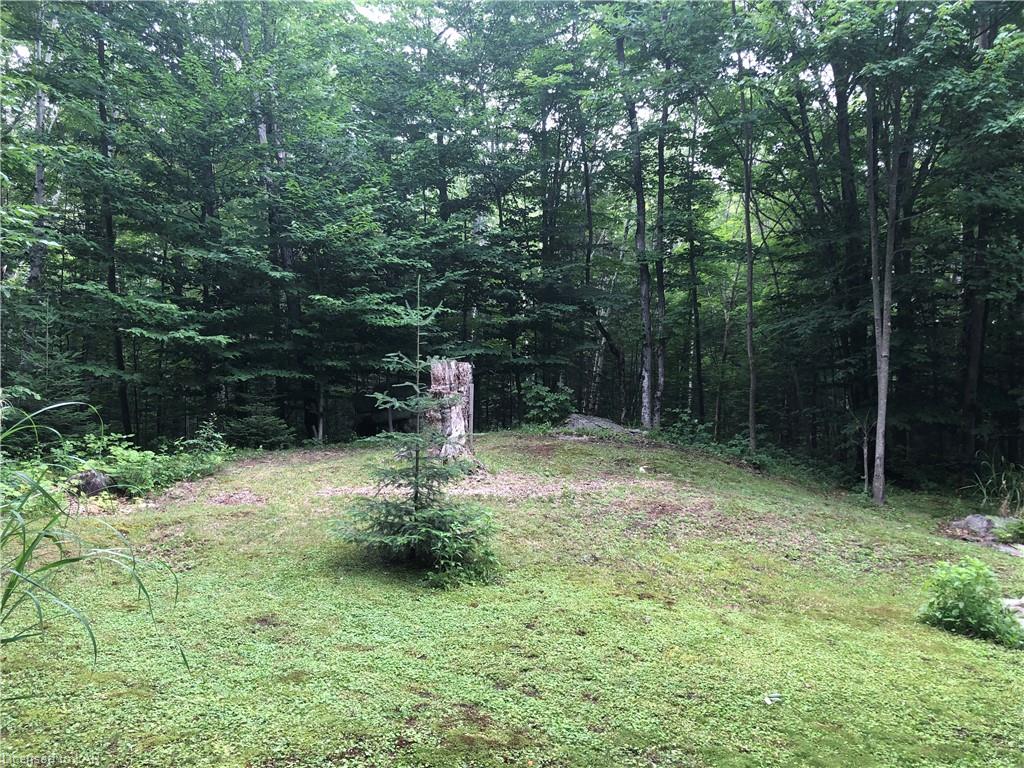 17583 HWY #35 Highway, Algonquin Highlands, Ontario, Canada