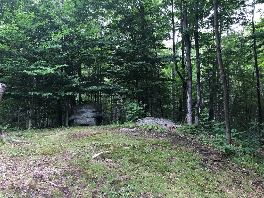 17583 HWY #35 Highway, Algonquin Highlands, Ontario, Canada
