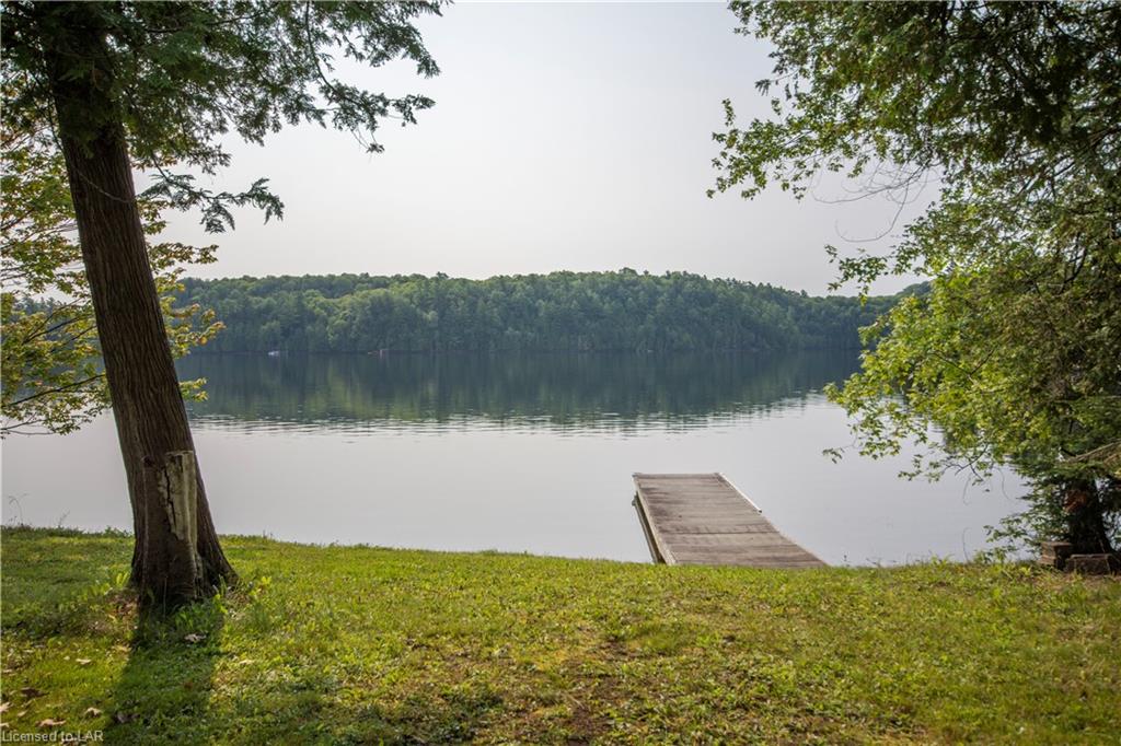 1041 FEDORA Drive, Minden, Ontario, Canada