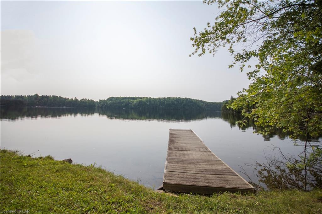 1041 FEDORA Drive, Minden, Ontario, Canada