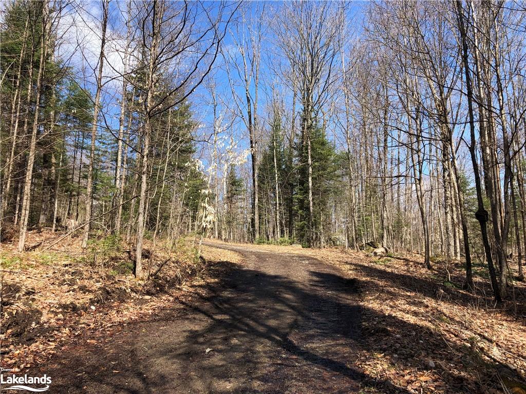 Harburn Road, Haliburton Ontario, Canada