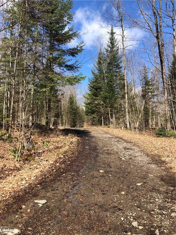 HARBURN Road, Haliburton, Ontario, Canada