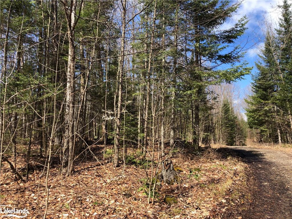 HARBURN Road, Haliburton, Ontario, Canada