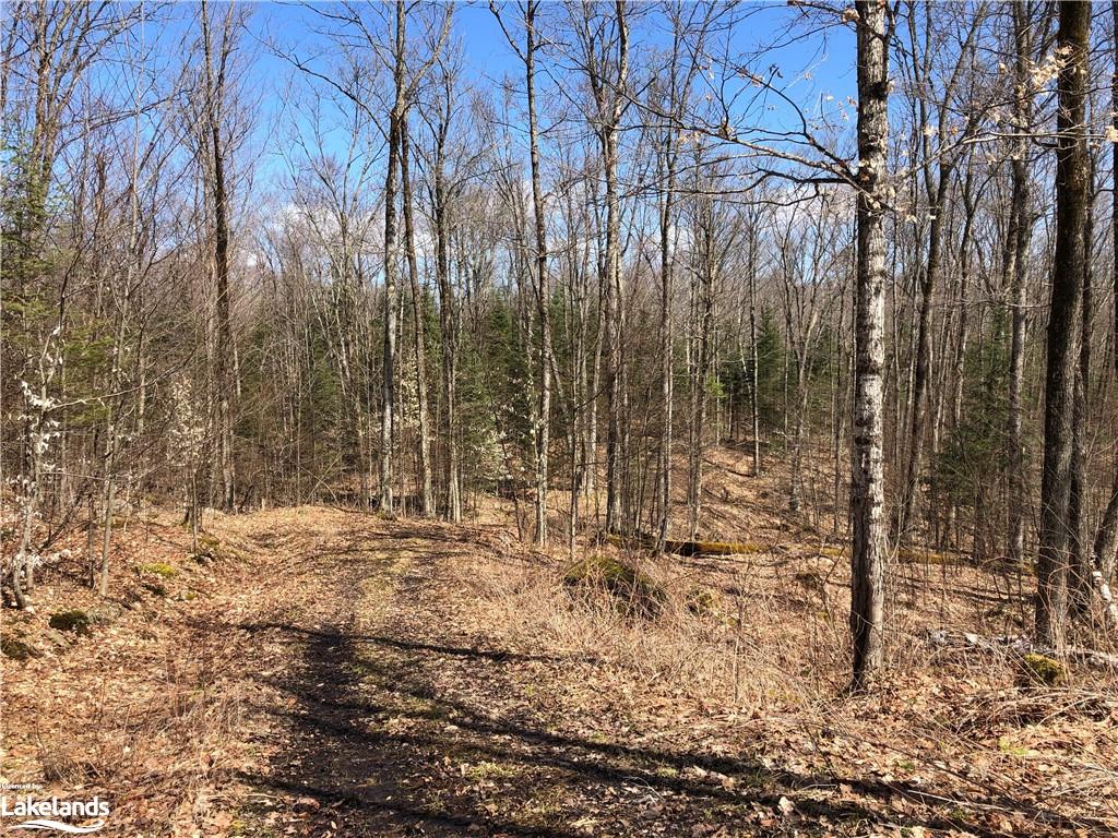 HARBURN Road, Haliburton, Ontario, Canada