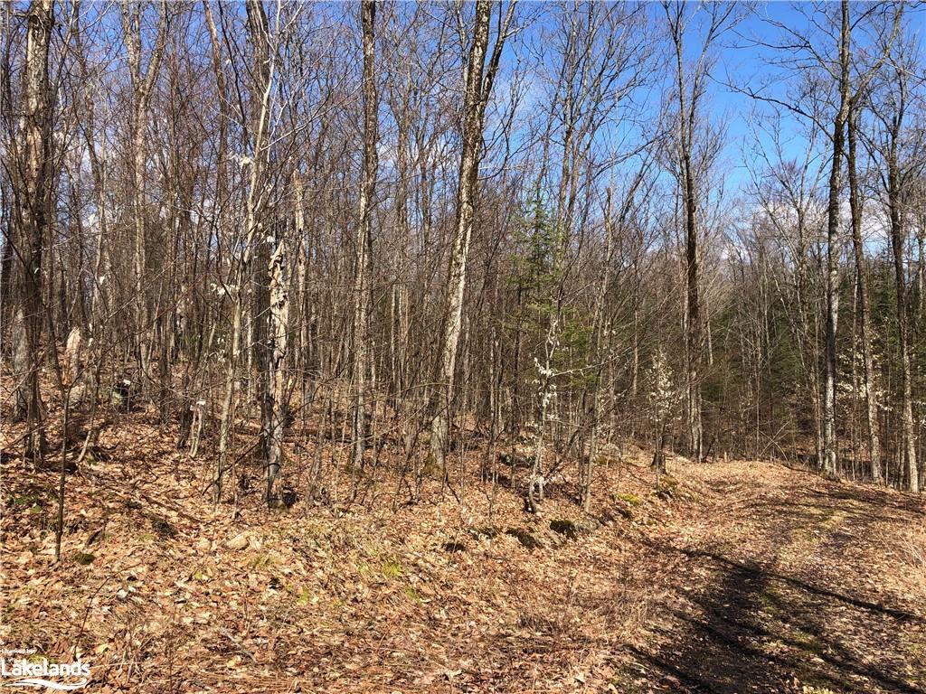 HARBURN Road, Haliburton, Ontario, Canada