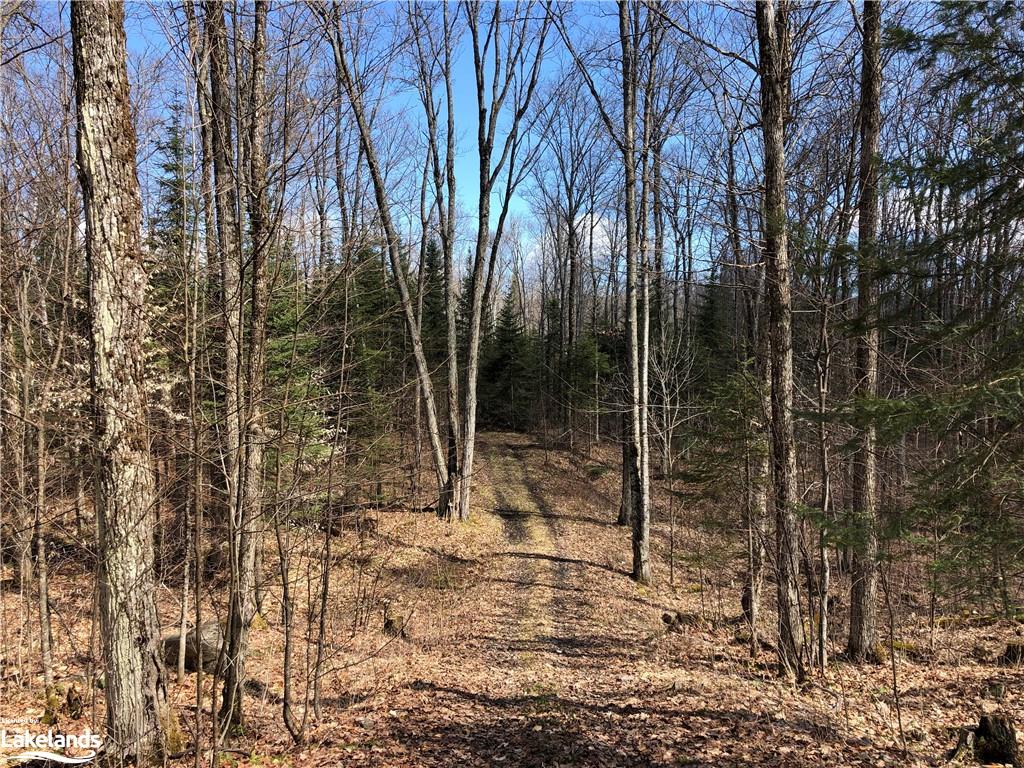 HARBURN Road, Haliburton, Ontario, Canada