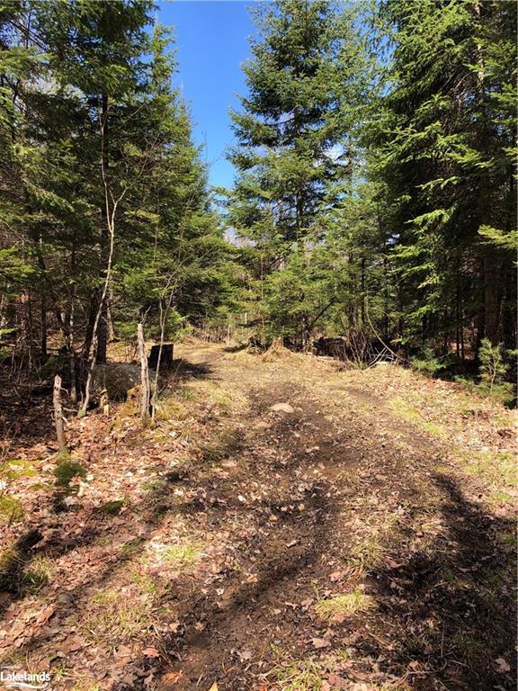 HARBURN Road, Haliburton, Ontario, Canada