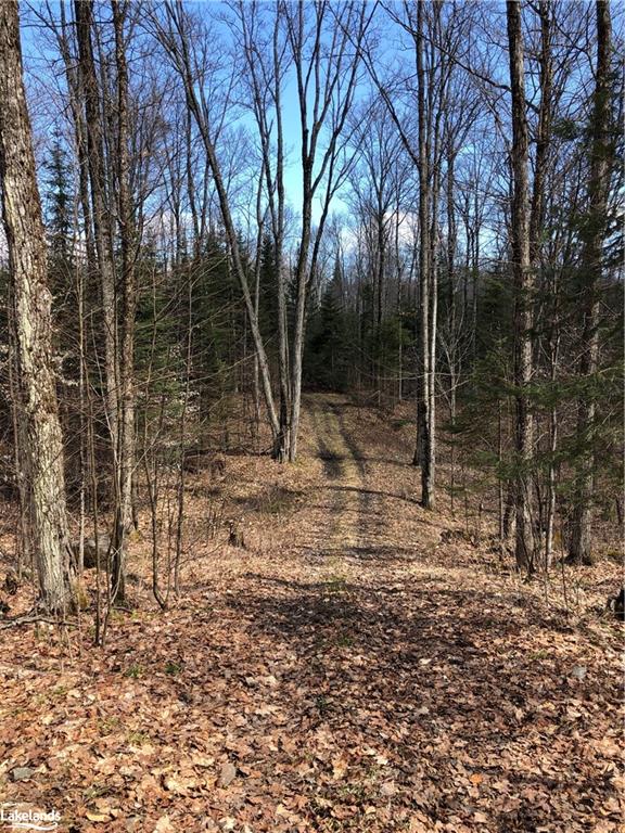 HARBURN Road, Haliburton, Ontario, Canada
