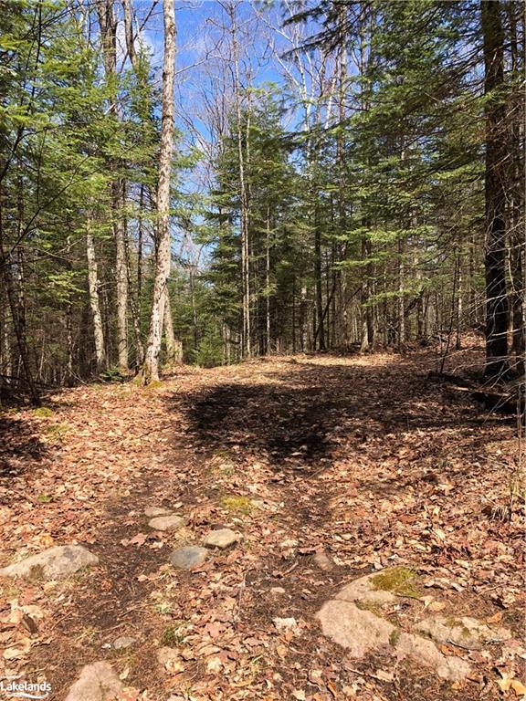 HARBURN Road, Haliburton, Ontario, Canada
