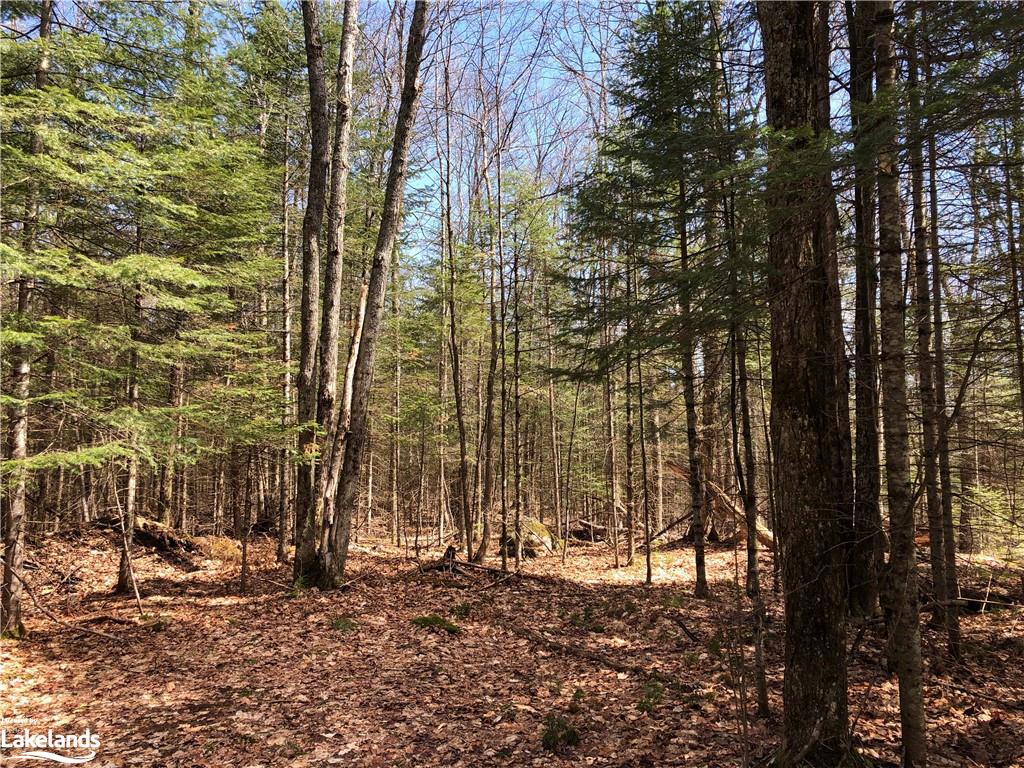 HARBURN Road, Haliburton, Ontario, Canada