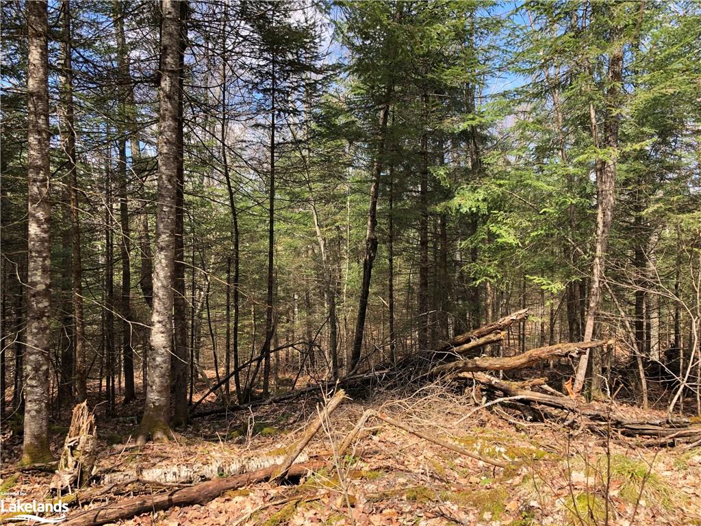 HARBURN Road, Haliburton, Ontario, Canada