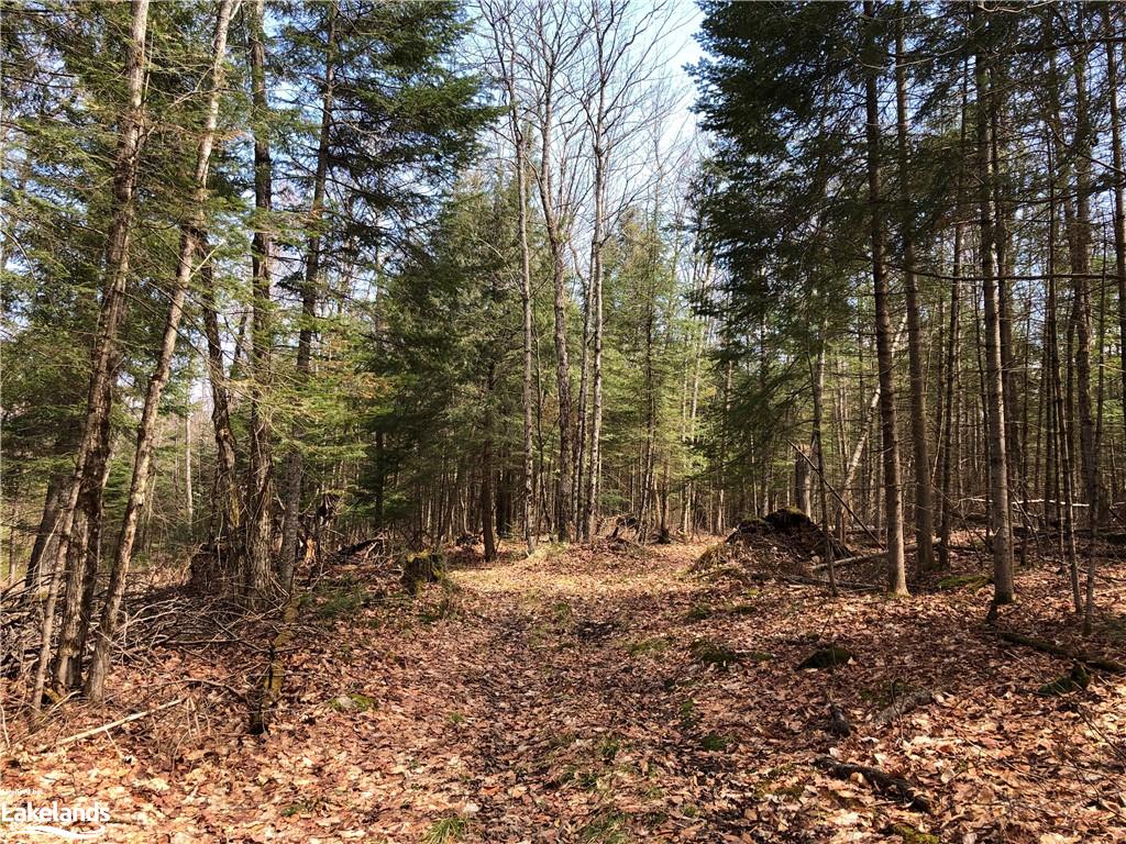 HARBURN Road, Haliburton, Ontario, Canada