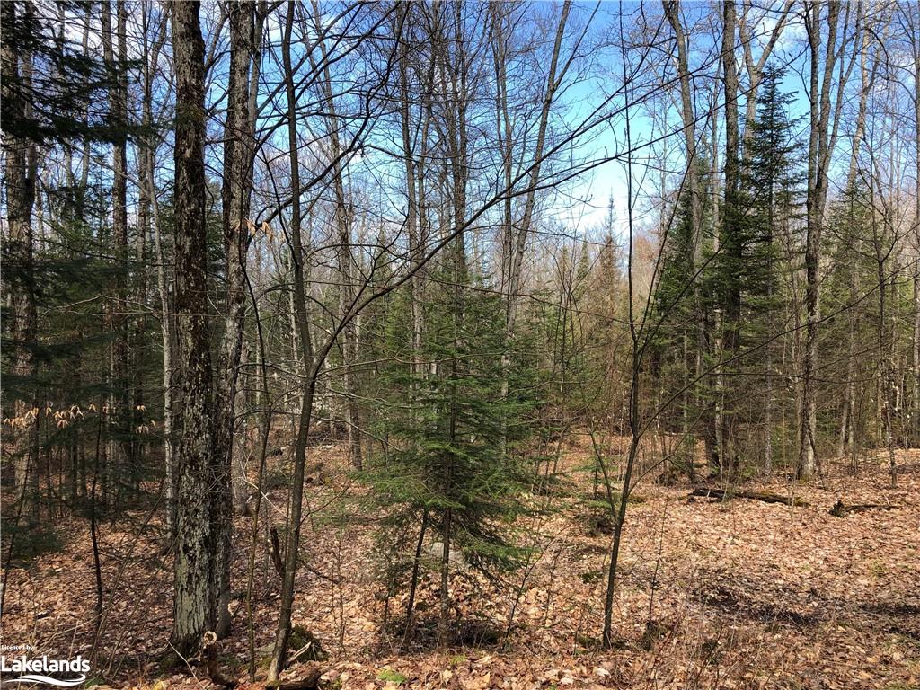 HARBURN Road, Haliburton, Ontario, Canada