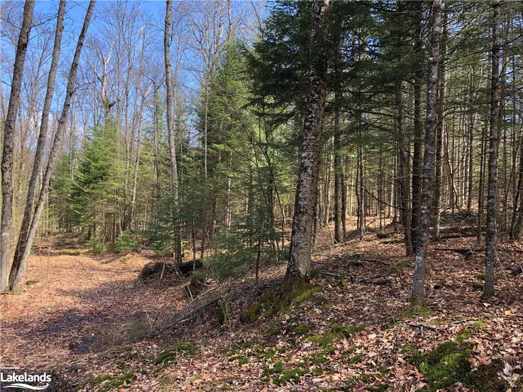 HARBURN Road, Haliburton, Ontario, Canada