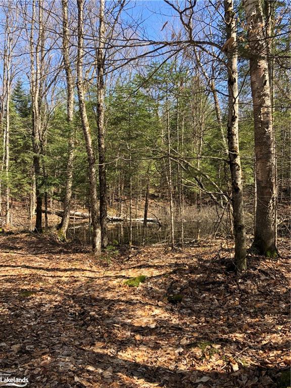HARBURN Road, Haliburton, Ontario, Canada