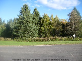 HARMONY RD, Haliburton, Ontario, Canada