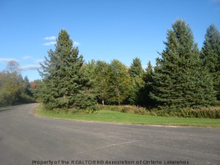 HARMONY RD, Haliburton, Ontario, Canada