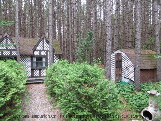 1301 RAVINE RD, Minden, Ontario, Canada