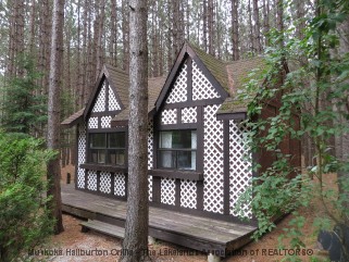 1301 RAVINE RD, Minden, Ontario, Canada