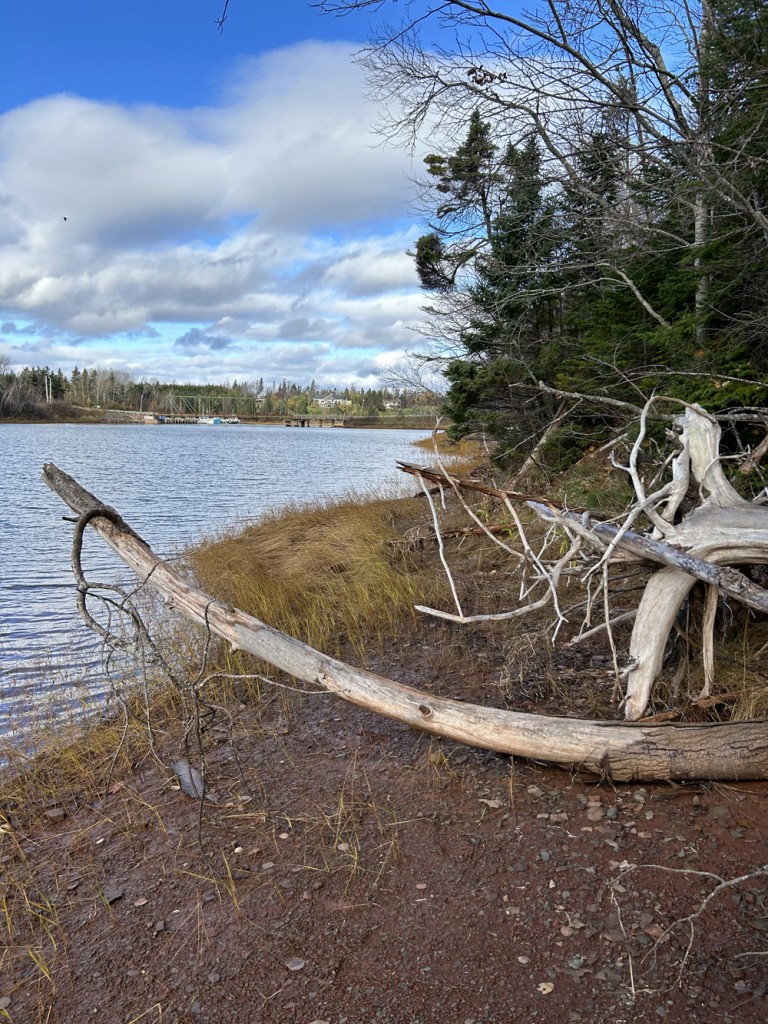 11-S9 Narrows Lane, Brule, Nova Scotia, Canada photo 1