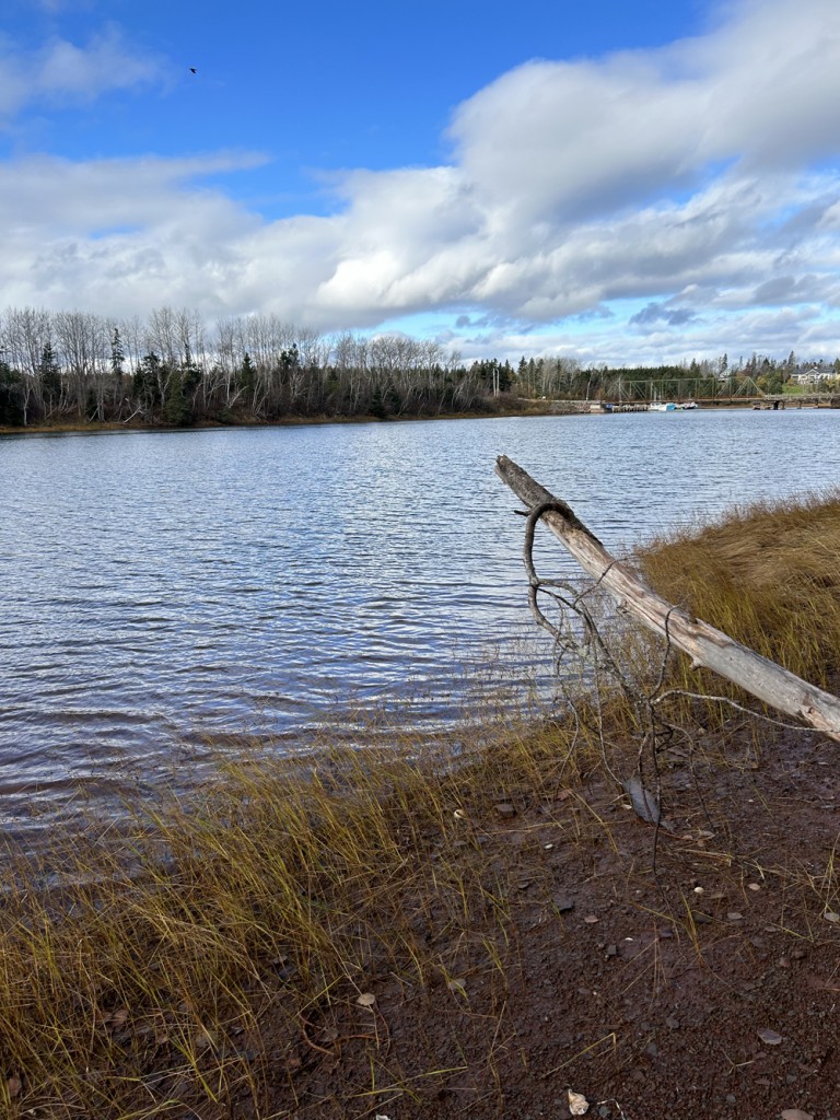 11-S9 Narrows Lane, Brule, Nova Scotia, Canada photo 10