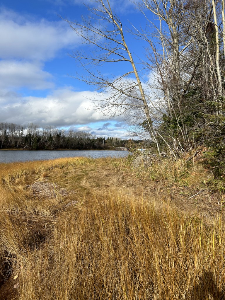 11-S9 Narrows Lane, Brule, Nova Scotia, Canada photo 11