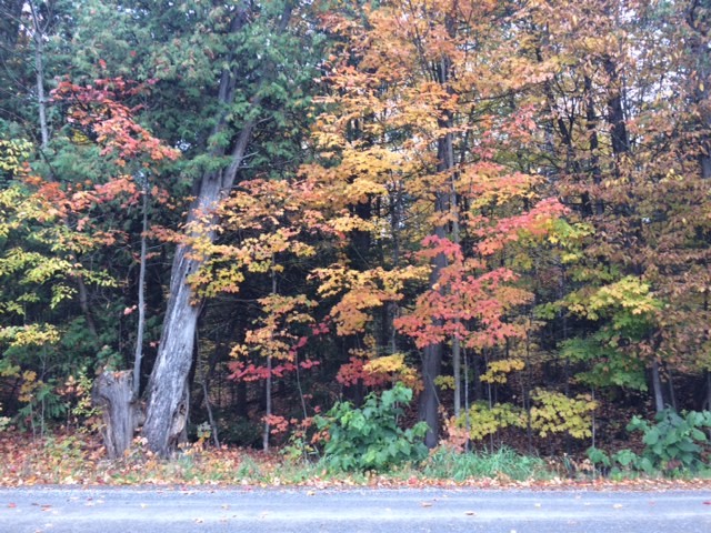 North Kawartha Ontario, Canada