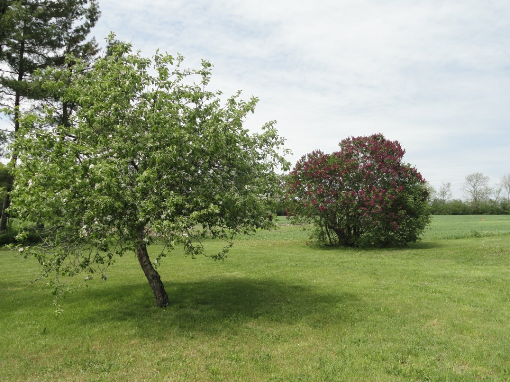 985 MELVILLE RD, Ameliasburg, Ontario, Canada