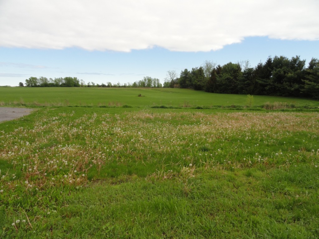 2825 COUNTY ROAD 3 RD South, Carrying Place, Ontario, Canada