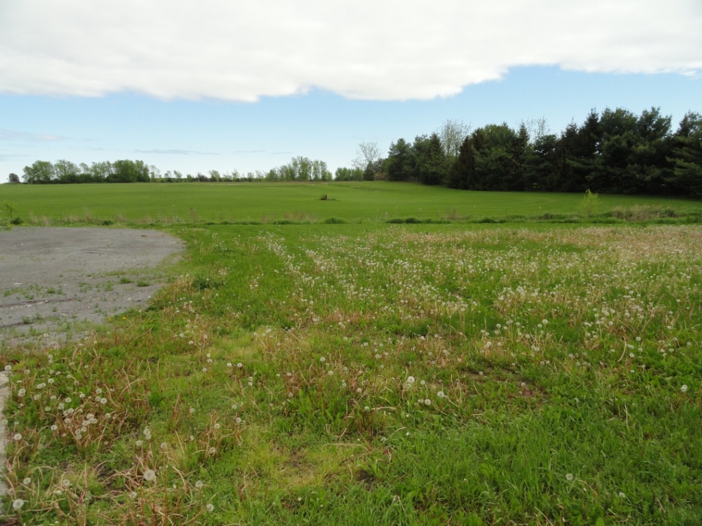 2825 COUNTY ROAD 3 RD South, Carrying Place, Ontario, Canada