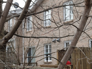 11 JANLYN CRES 10, Belleville, Ontario, Canada