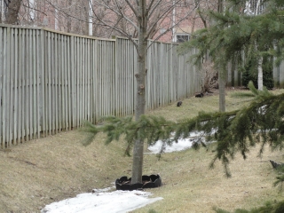 11 JANLYN CRES 10, Belleville, Ontario, Canada