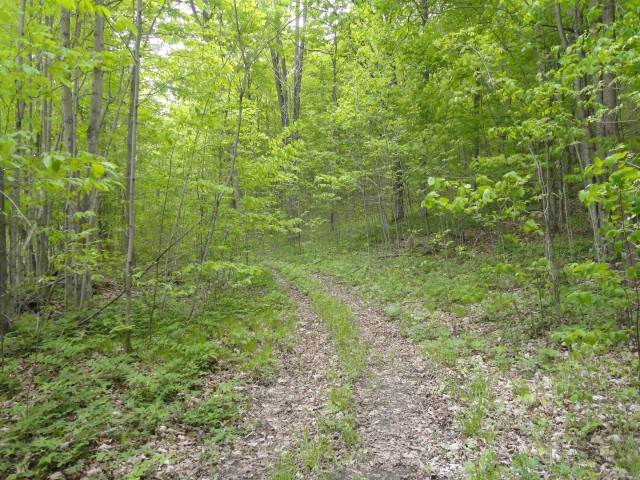 PT 2 PT LT 7 CON 8 BEATTY SOUTH LOT 2 RD, Thurlow, Ontario, Canada