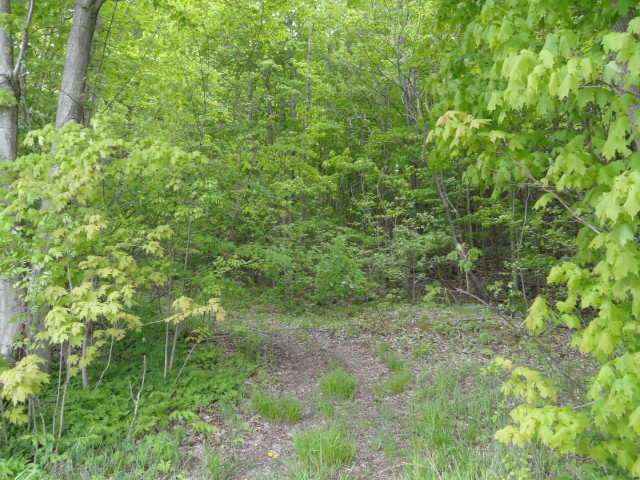 PT 2 PT LT 7 CON 8 BEATTY SOUTH LOT 2 RD, Thurlow, Ontario, Canada