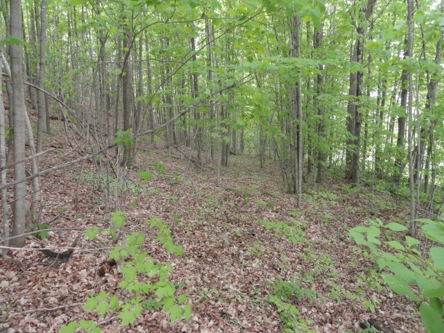 PT 2 PT LT 7 CON 8 BEATTY SOUTH LOT 2 RD, Thurlow, Ontario, Canada