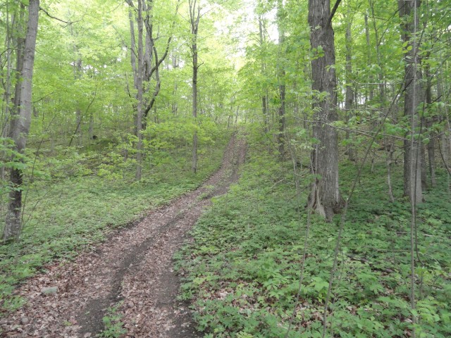 PT 2 PT LT 7 CON 8 BEATTY SOUTH LOT 2 RD, Thurlow, Ontario, Canada