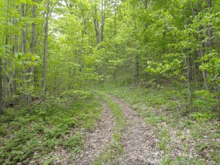 PT 3 PT LT 7 CON 8 BEATTY RD, Thurlow, Ontario, Canada