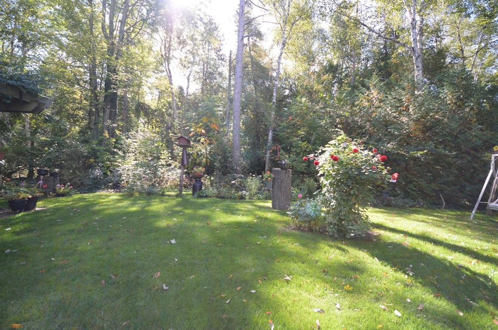 6545 PINE TRAIL Avenue, Lambton Shores Ontario, Canada