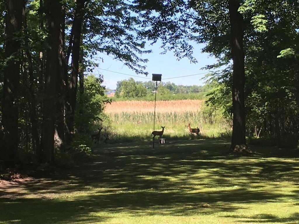 S10A STAG ISLAND, St. Clair Ontario, Canada