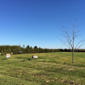 Bluewater Ontario, Canada